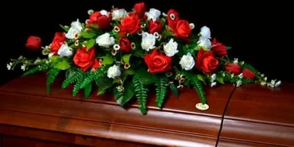 Сонник віко домовини до чого сниться віко домовини уві сні