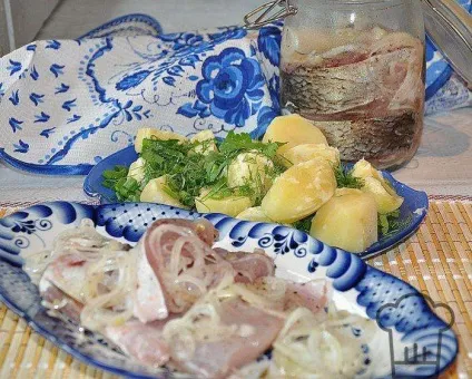 Солоний жерех по-вятски - елементарний покроковий рецепт з фото (солоний) Солоний жерех по-вятски - елементарний покроковий рецепт з фото