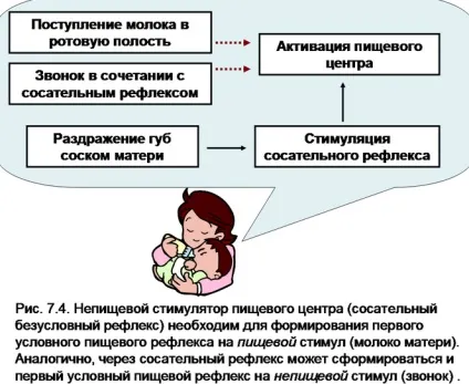 Смоктальний рефлекс у новонароджених відсутність або слабкий рефлекс смоктання (смоктальний) Смоктальний рефлекс у новонароджених відсутність або слабкий рефлекс смоктання