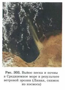 властивості біогеоценозів