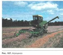 властивості біогеоценозів