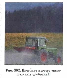 властивості біогеоценозів