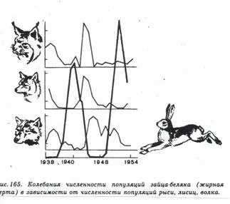 властивості біогеоценозів