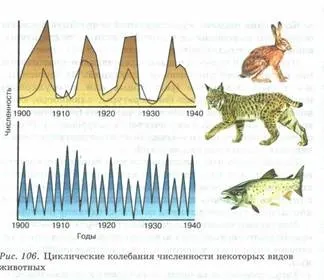 властивості біогеоценозів
