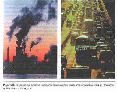 властивості біогеоценозів