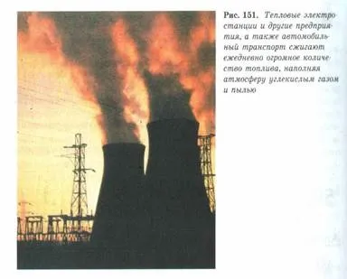 властивості біогеоценозів