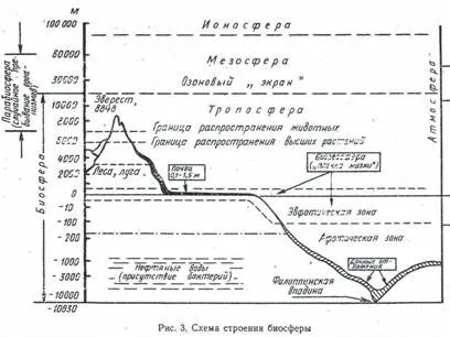 властивості біогеоценозів
