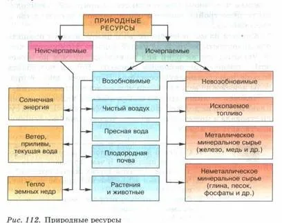 властивості біогеоценозів