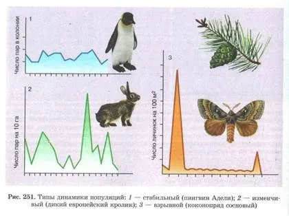 властивості біогеоценозів
