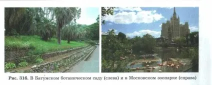 властивості біогеоценозів