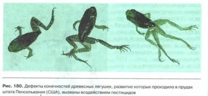 властивості біогеоценозів