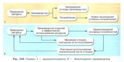 властивості біогеоценозів