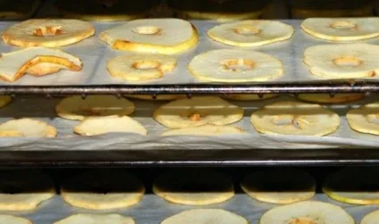 Сушка яблук в духовці електричної, з конвекцією, газової (духовці) Сушка яблук в духовці електричної, з конвекцією, газової