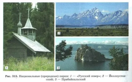 властивості біогеоценозів