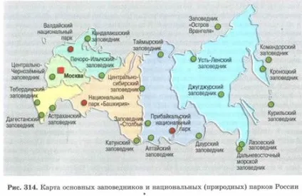 властивості біогеоценозів