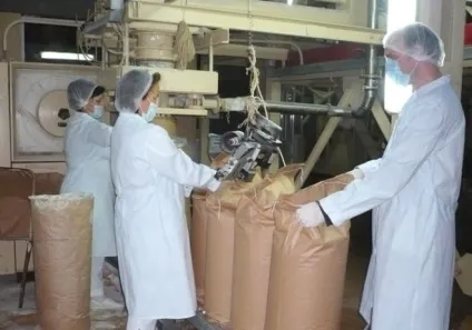 Сухе молоко для поросят як розводити і годувати, пропорції і дозування (молоко) Сухе молоко для поросят як розводити і годувати, пропорції і дозування