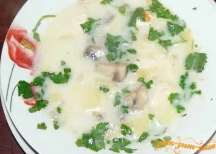 Суп з грибами та куркою рецепт курячого супу з грибами (куркою) Суп з грибами та куркою рецепт курячого супу з грибами