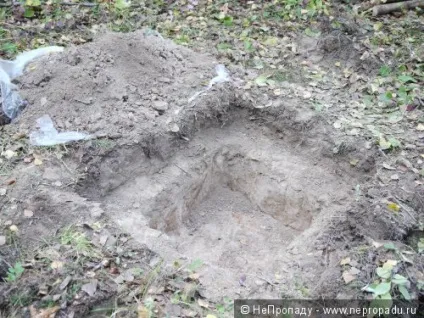 Схрон, ничку або тимчасовий склад (ничку) Схрон, ничку або тимчасовий склад