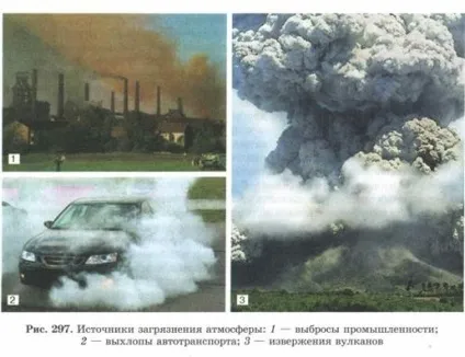 властивості біогеоценозів
