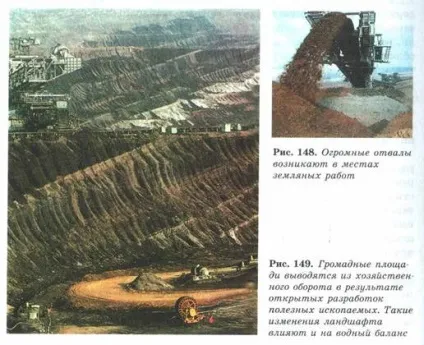 властивості біогеоценозів