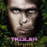 T-killah & amp; щоденник хача - мавпи текст пісні (слова) відео кліп (мавпи) T-killah & amp; щоденник хача - мавпи текст пісні (слова) відео кліп
