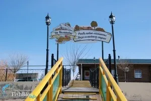 Типи оснащення мікроджига - онлайн-газета про риболовлю (мікроджиг) Типи оснащення мікроджига - онлайн-газета про риболовлю