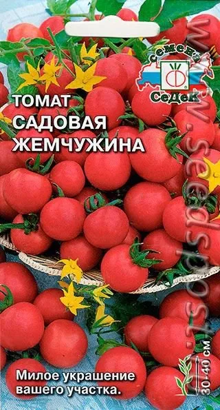 томати черрі