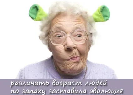 Таємниця старечого запаху - феномен запаху старості - вікової запах (запах) Таємниця старечого запаху - феномен запаху старості - вікової запах