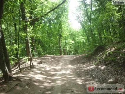 Топловський трійці-параскевінскій жіночий монастир в криму - «топловский жіночий монастир (монастир) Топловський трійці-параскевінскій жіночий монастир в криму - «топловский жіночий монастир