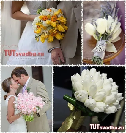Тюльпани на весіллі - весільний портал тут весілля (велика) Тюльпани на весіллі - весільний портал тут весілля