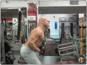 Вправи з еспандером на всі групи м'язів (еспандером) Вправи з еспандером на всі групи м'язів