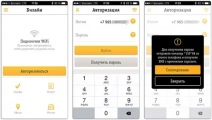 Послуги билайн управління через особистий кабінет (послуги) Послуги билайн управління через особистий кабінет