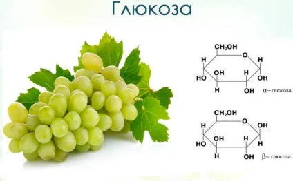 Універсальне паливо для тіла