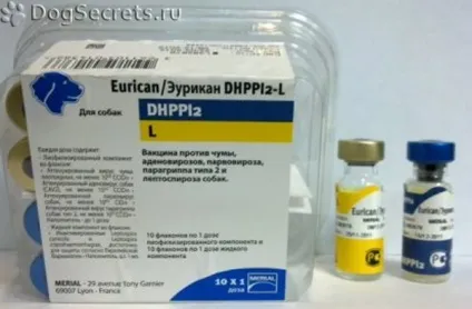Вакцина еурікан для собак ціна щеплення, відгуки (застосування) Вакцина еурікан для собак ціна щеплення, відгуки