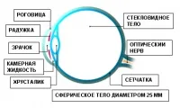 Ці очі навпроти як і - чому ми - бачимо, Бажена жіночий журнал