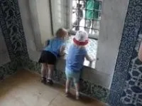Якщо я не проголосую, краса, політика () Якщо я не проголосую, краса, політика
