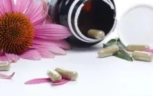 Ехінацея для імунітету