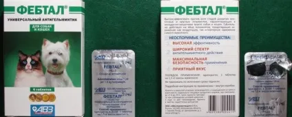 Фебтал для кішок спосіб застосування і відгуки (показання) Фебтал для кішок спосіб застосування і відгуки