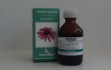Ехінацея опис, інструкція і застосування для дітей, ru-babyhealth (інструкція) Ехінацея опис, інструкція і застосування для дітей, ru-babyhealth