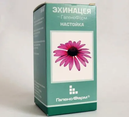 Ехінацея опис, інструкція і застосування для дітей, ru-babyhealth (ехінацея) Ехінацея опис, інструкція і застосування для дітей, ru-babyhealth