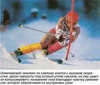 Внутрішнє вухо як орган рівноваги (знання - фізіологія людини) (лабіринт) Внутрішнє вухо як орган рівноваги (знання - фізіологія людини)