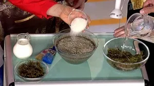 Вирощування моху, світ жінки (мох) Вирощування моху, світ жінки