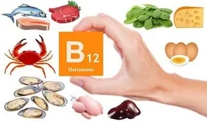 Вітамін b12 для чого потрібен організму (потрібен) Вітамін b12 для чого потрібен організму