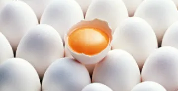 У яких продуктах міститься багато жирів (жирів) У яких продуктах міститься багато жирів