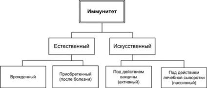 Види імунітету і їх основні відмінності (відмінності) Види імунітету і їх основні відмінності
