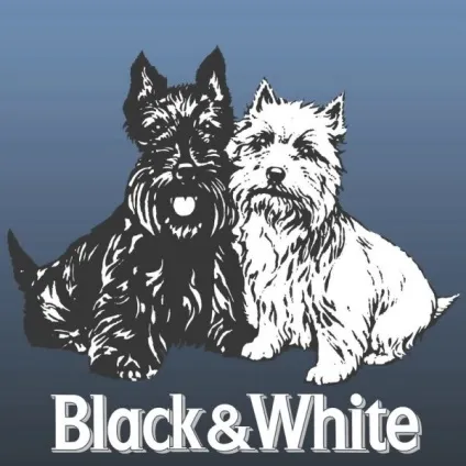 Віскі блек енд вайт (black and white) походження і характеристики напою (напою) Віскі блек енд вайт (black and white) походження і характеристики напою