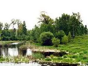 Я як вода (світла Сухарєва)