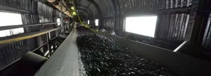 Поклади кам'яного вугілля вУкаіни, його види та класифікація
