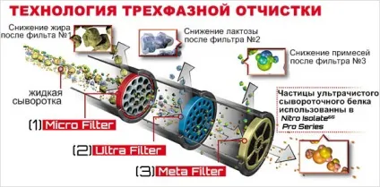 Все про сироватковому протеїні!