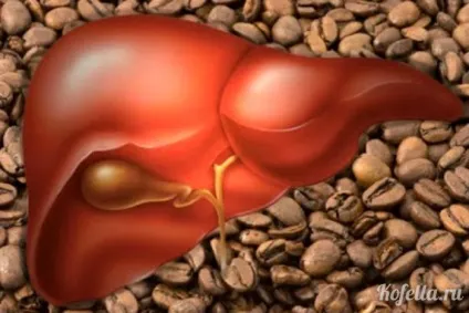 Чи шкідливий кави для печінки, кава і здоров'я (шкода) Чи шкідливий кави для печінки, кава і здоров'я